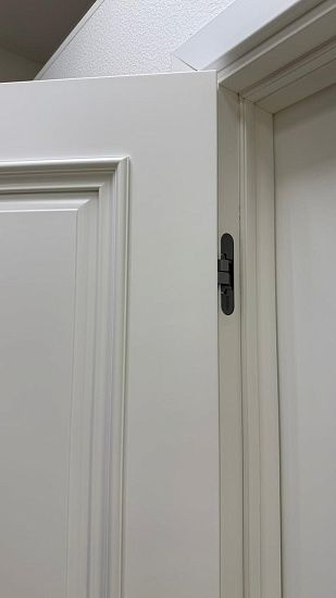 Межкомнатная дверь  